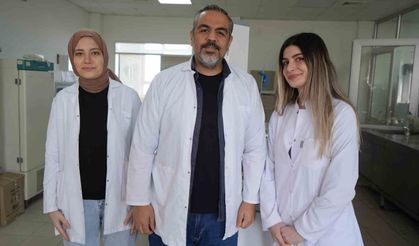 OMÜ projesiyle gıda endüstrisine pH duyarlı doğal renklendirici adayı