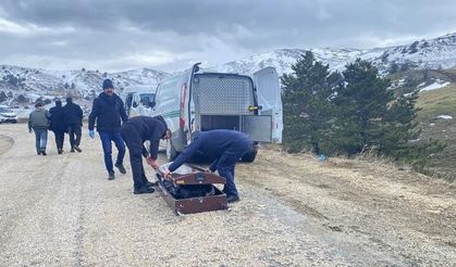 ÇORUM’DA VAHŞET