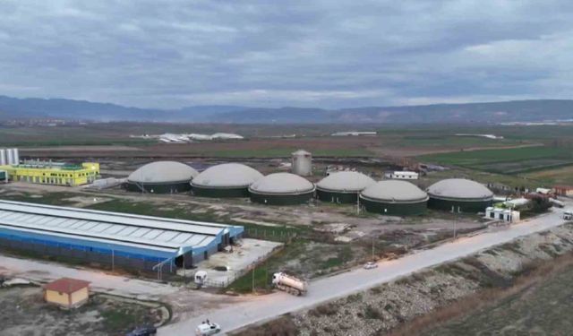 Amasya'da biyogaz tesisinde zehirlenerek hayatını kaybeden 3 işçinin kimlikleri belli oldu