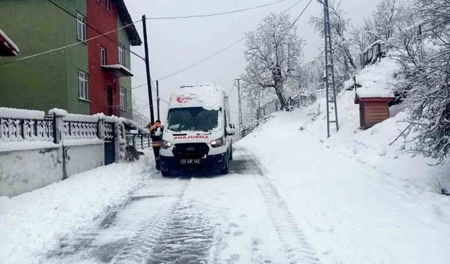 Bartın'ın yüksek kesimlerinde kar etkili oluyor