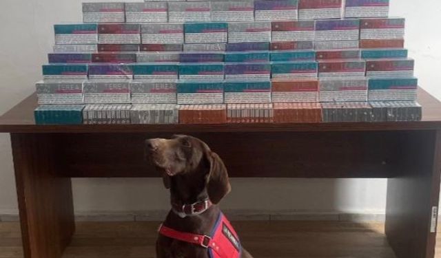 Bolu'da binlerce elektronik sigara kiti ele geçirildi