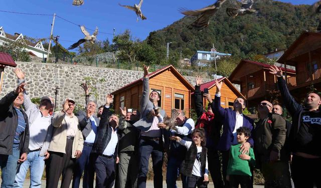 DANIŞTAY'DAN "ATMACA" KARARI