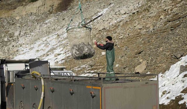 DENİZİ YOK, ALABALIKTA DÜNYA DEVİ!