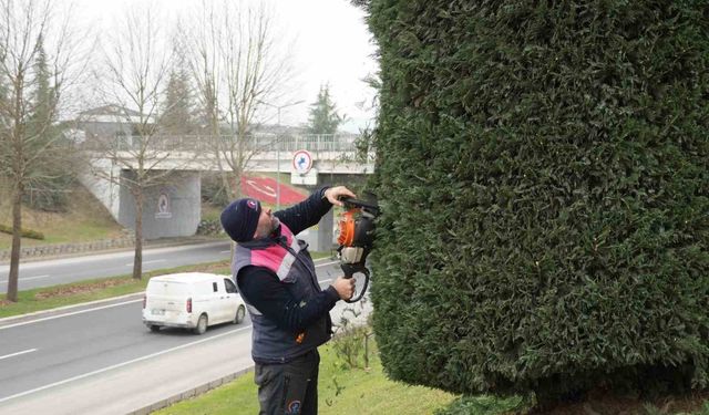 Düzce'de bahar hazırlıkları başladı