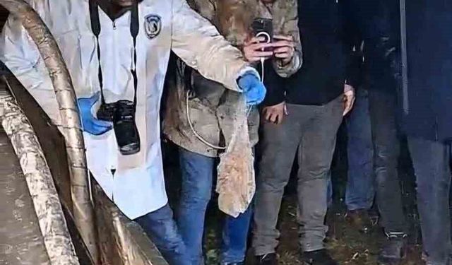 MEZARLIKTA ESRARENGİZ PAKET ALARMI!