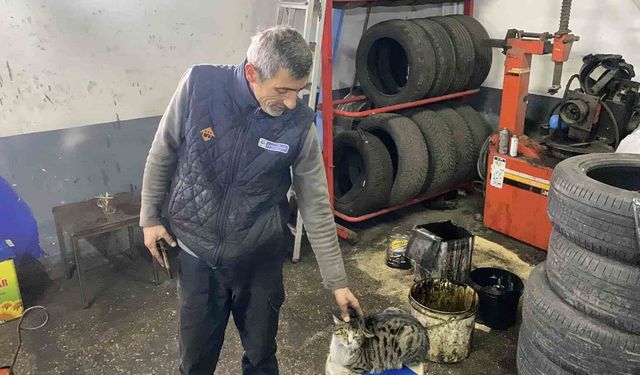 Oto tamircisinin en sadık çırağı 'Şıkkıdı' oldu