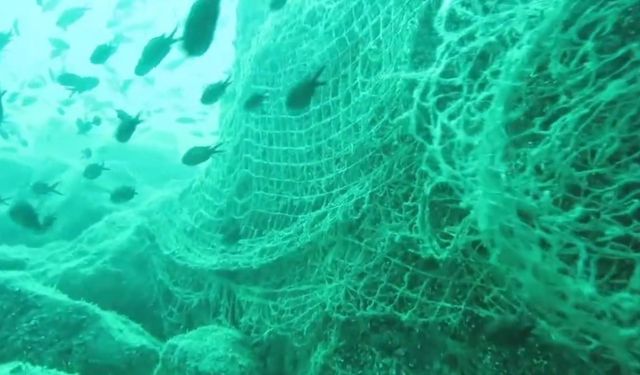 Prof. Dr. Coşkun Erüz: 'Karadeniz'in doğal ekosistemini ve biyoçeşitliliğini korumak için hayalet ağları temizlemek gerekli'