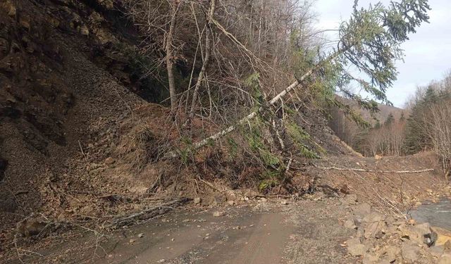 Sinop'ta heyelan nedeniyle ulaşım durdu