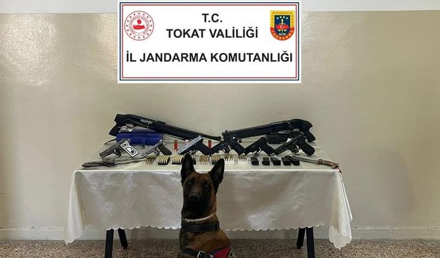 Tokat'ta silah ve fişek kaçakçılığına darbe