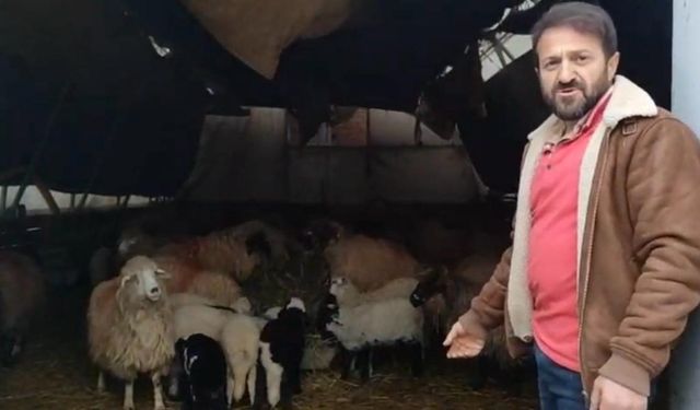 TRABZON'DA İLGİNÇ ANLAR