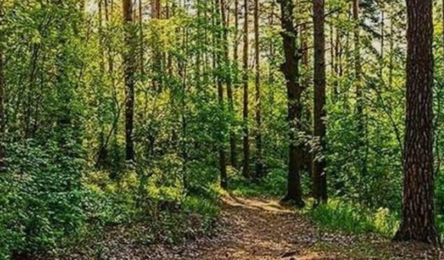 ARTVİN VE TRABZON’DAN TEPKİLER VAR!