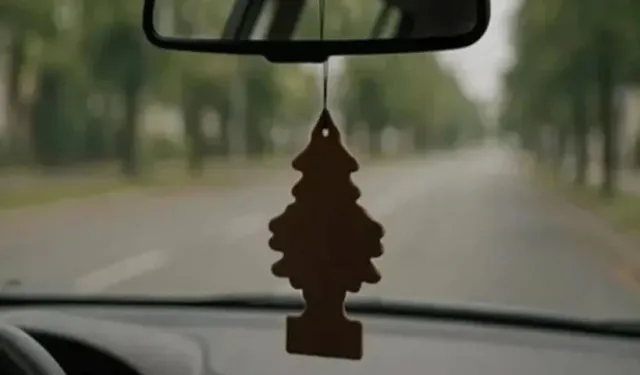 AYNAYA ASILAN KOKUYA DEV CEZA