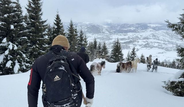 MAHSUR KALAN ATLAR KURTARILDI!