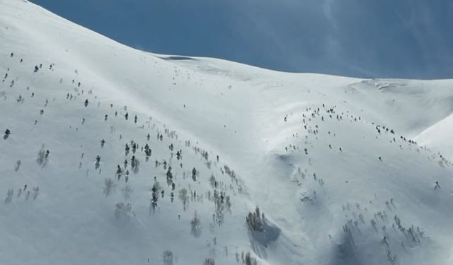 Artvin'de çığ faciası: Kayıp kişi için çalışmalar 86 gündür sürüyor