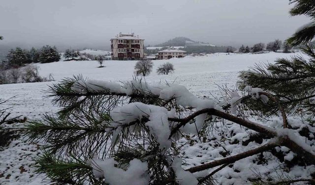 Bolu martta yağan karla beyaza büründü