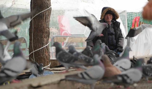 'Çocukların Kuşçu Dedesi' kuşlar için meydanı terk etmiyor