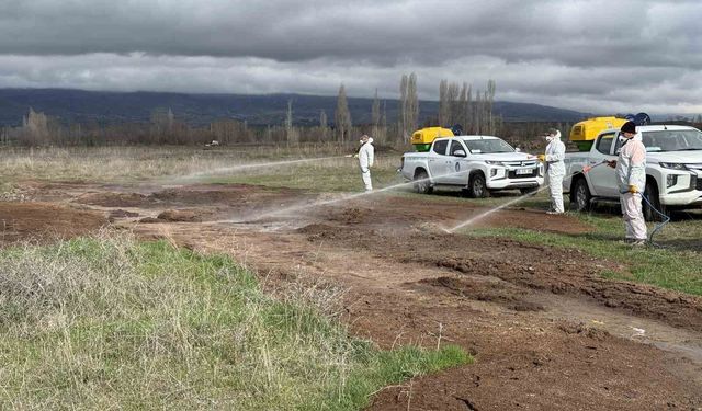 Çorum Belediyesi'nden yaz öncesi vektörle yoğun mücadele