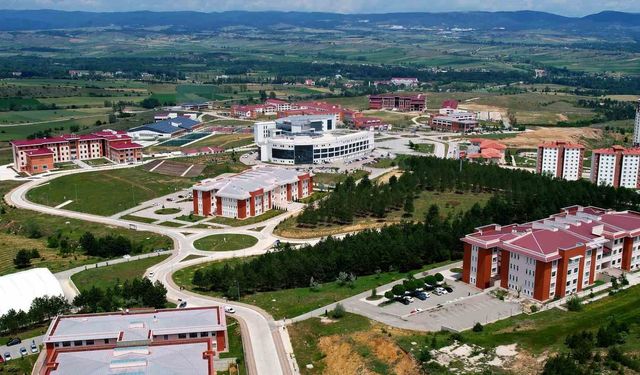 Kastamonu Üniversitesi orman yangınlarıyla ilgili risk haritası oluşturacak