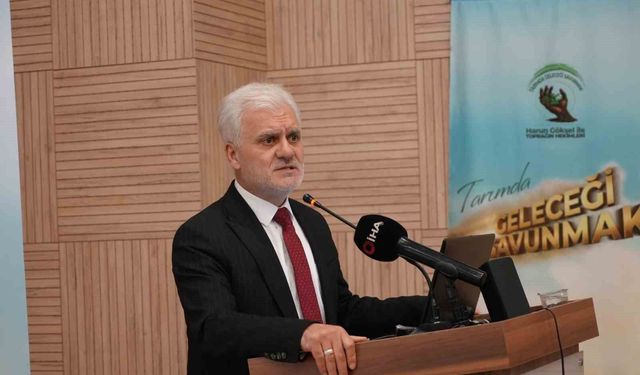 Kastamonu'da defne üretimi 3 bin hektarın üzerine çıktı