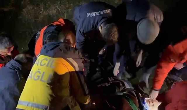 Ormanda kaybolan yaşlı kadın baygın halde bulundu