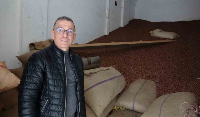 FINDIK FİYATLARI DÜŞÜŞE GEÇTİ