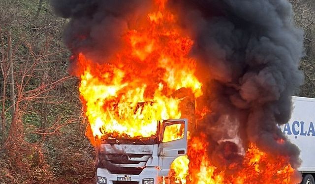 SEYİR HALİNDEKİ TIR YANDI