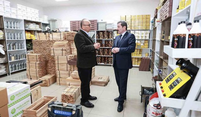 Samsun'da 2025'te bin 12 ton bal ve 38 ton bal mumu üretildi