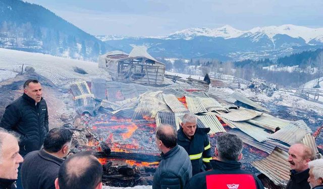 EV VE AHIRLAR KÜL OLDU!