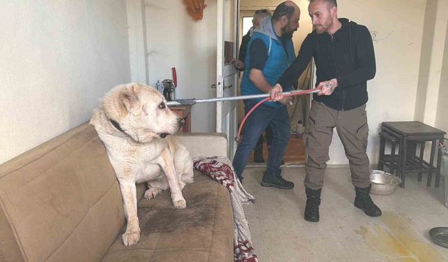 4 GÜN AÇ VE SUSUZ KALMIŞLAR