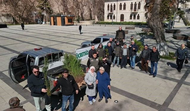 Sinop'ta binlerce fidan toprakla buluşuyor