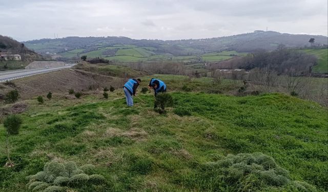 Sinop'ta yükümlülerden geleceğe nefes