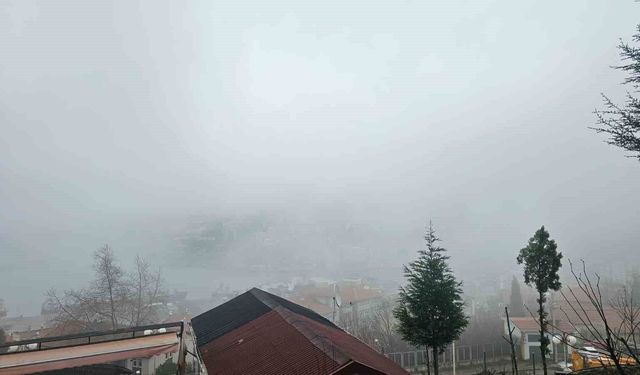 Zonguldak'ta sis etkili oldu