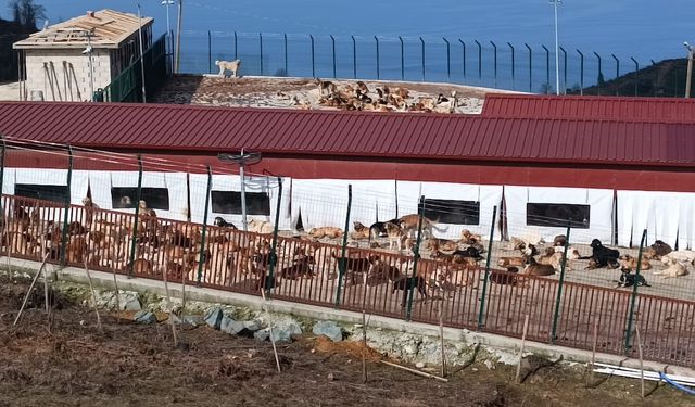 RİZE'DE KORKUNÇ İDDİALAR!