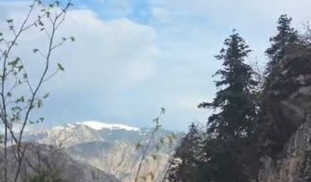 Artvin'de vatandaş helikopterle kurtarıldı