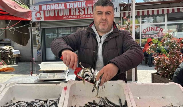 Balık tezgahlarında kıyı balıkçılığı mesaisi