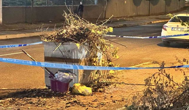 Bebeğini çöpe atan anne için müebbet talebi: Duruşma salonunda tutuklandı