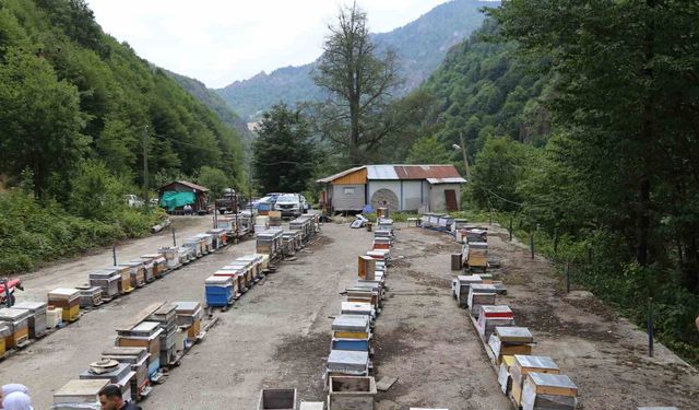 DOĞU KARADENİZ’DE SOĞUK HAVA MESAİSİ!