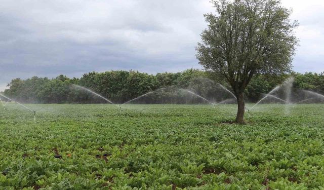 Tarım, hayvancılık ve kırsal kalkınmaya dev  destek