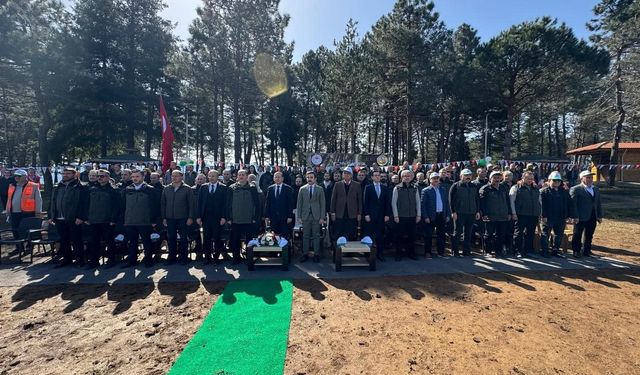 TURUP'TA DEV REKABET: 6 İL YARIŞIYOR