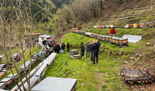 BAL ÇALIŞTAYI" ARTVİN'İN MARKA DEĞERİNE GÜÇ KATACAK