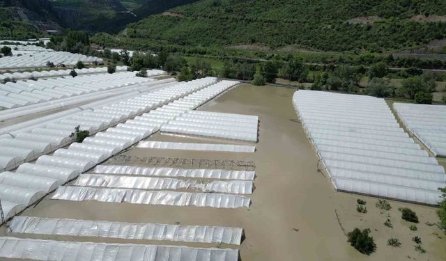 Yeşilırmak Nehri taştı!