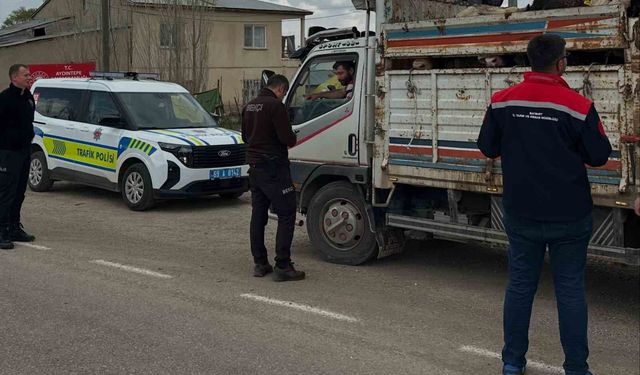 Aydıntepe'de Kurban Bayramı öncesi hayvan nakilleri denetleniyor