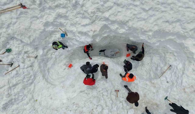Çığ felaketinde kaybolan çoban için arama çalışmaları yeniden başladı: 3 günde bir ize ulaşılamadı