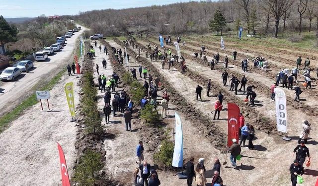 İstanbul'da uyuşturucu operasyonunda şehit olan Emre Albayrak'ın adı hatıra ormanında yaşayacak