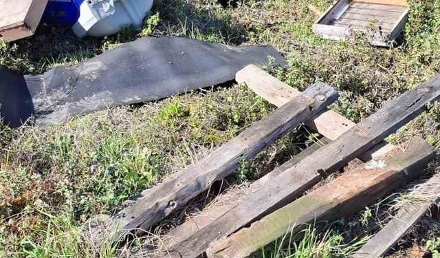 Kovanlarına ayının saldırdığını gören arıcı, 'Çilingir sofrası olmuş'