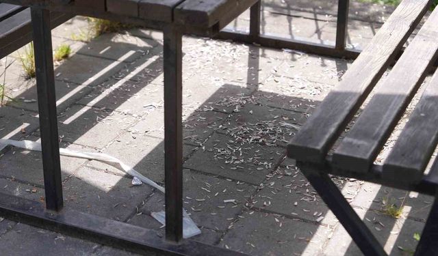 Melen Su Park'ta utandıran manzara