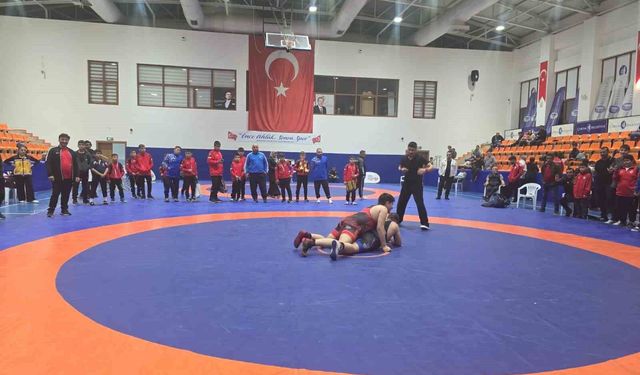 Olimpiyat şampiyonları anısına güreş turnuvası düzenlendi