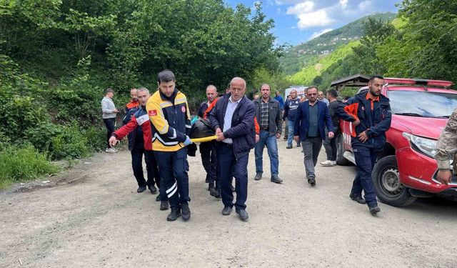 Ordu'da şelale göletine giren çocuk boğuldu