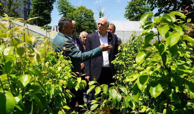 Şevki Bayraktar: 'Çiftçilerimiz her türlü afete maruz kaldı; Don, dolu, hortum... Şimdi aşırı yağışlardan dolayı sel felaketleri'