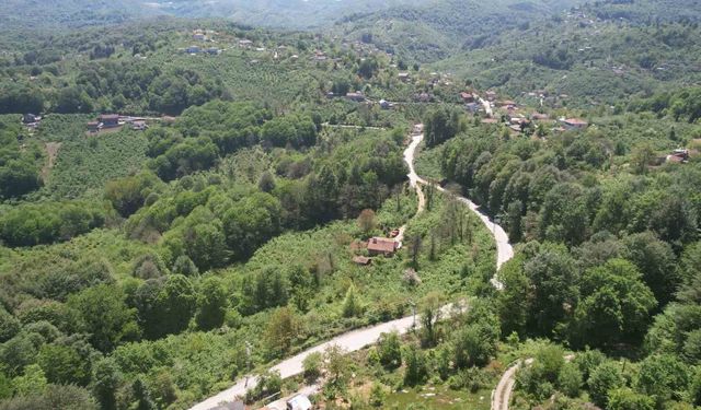 Zonguldak ormanları baharın gelişiyle dronla görüntülendi